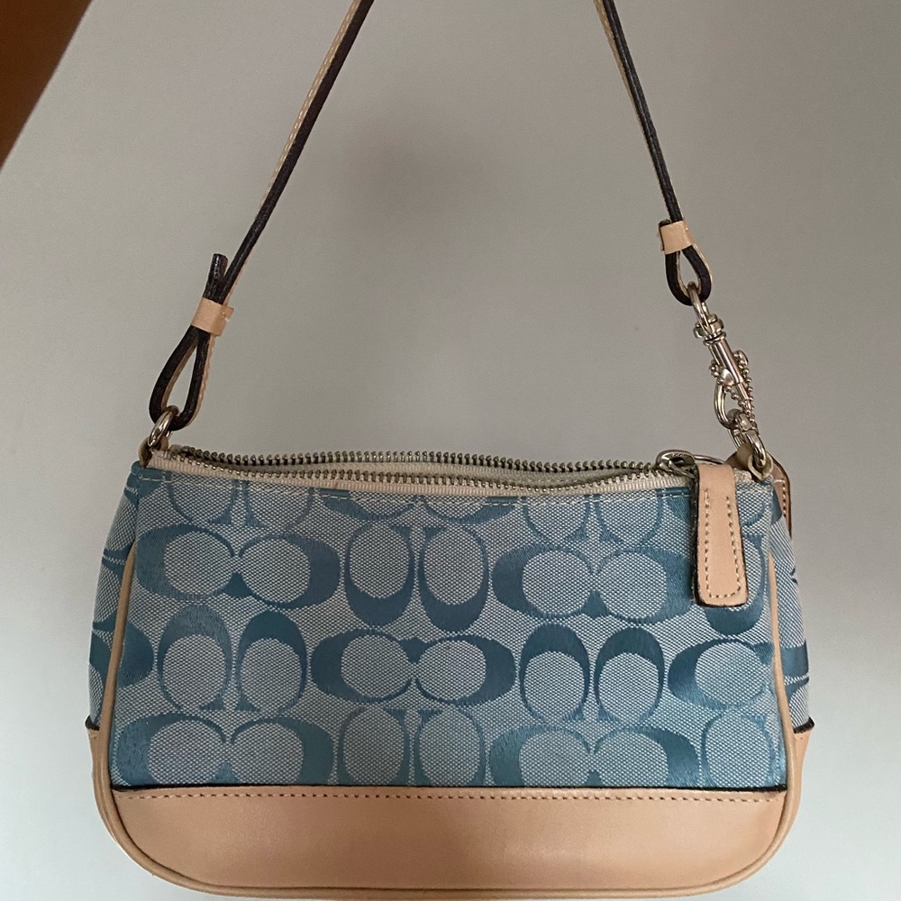 Coach purse 🚨SOLD🚨